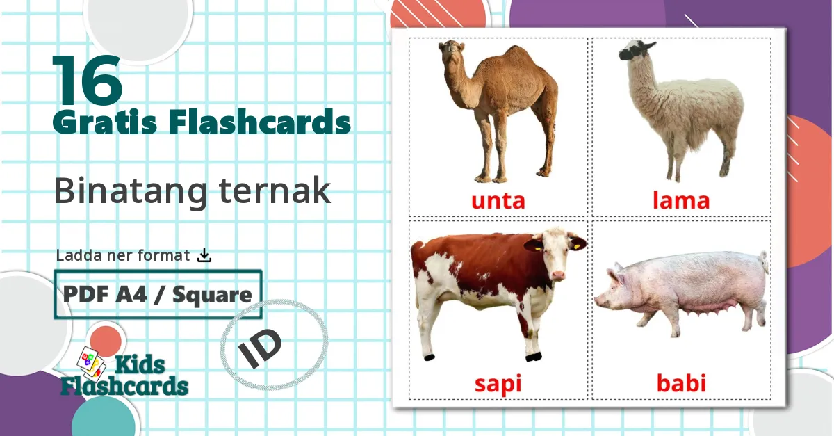 16 Binatang ternak bildkort för barn