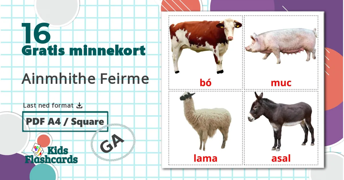 16 Gårdsdyr bildekort