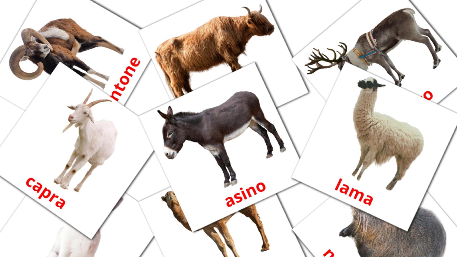 Bildkarten für Animali di fattoria