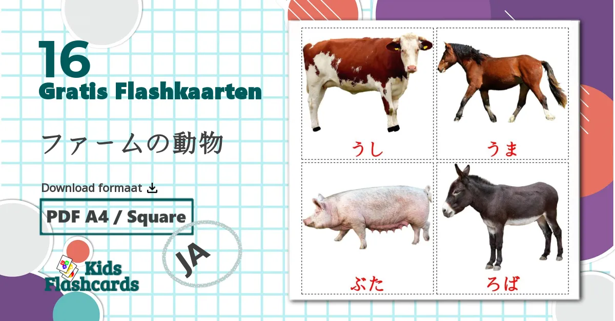 16 ファームの動物 flashcards