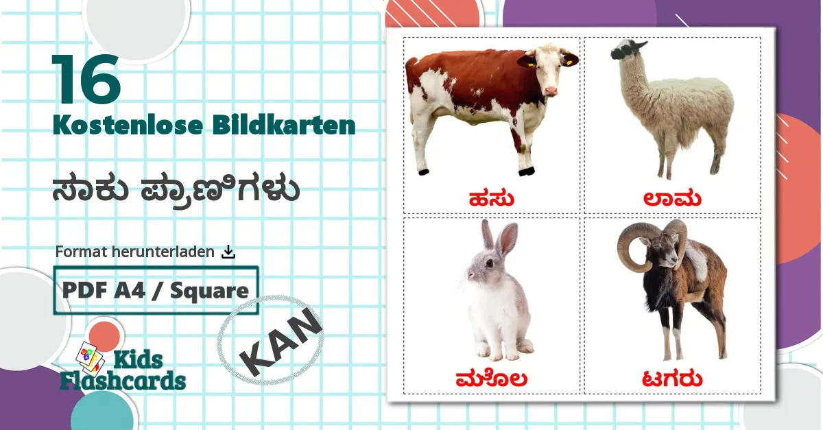 16 Bildkarten für ಸಾಕು ಪ್ರಾಣಿಗಳು