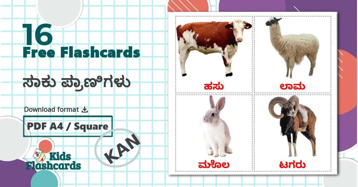 16 ಸಾಕು ಪ್ರಾಣಿಗಳು flashcards