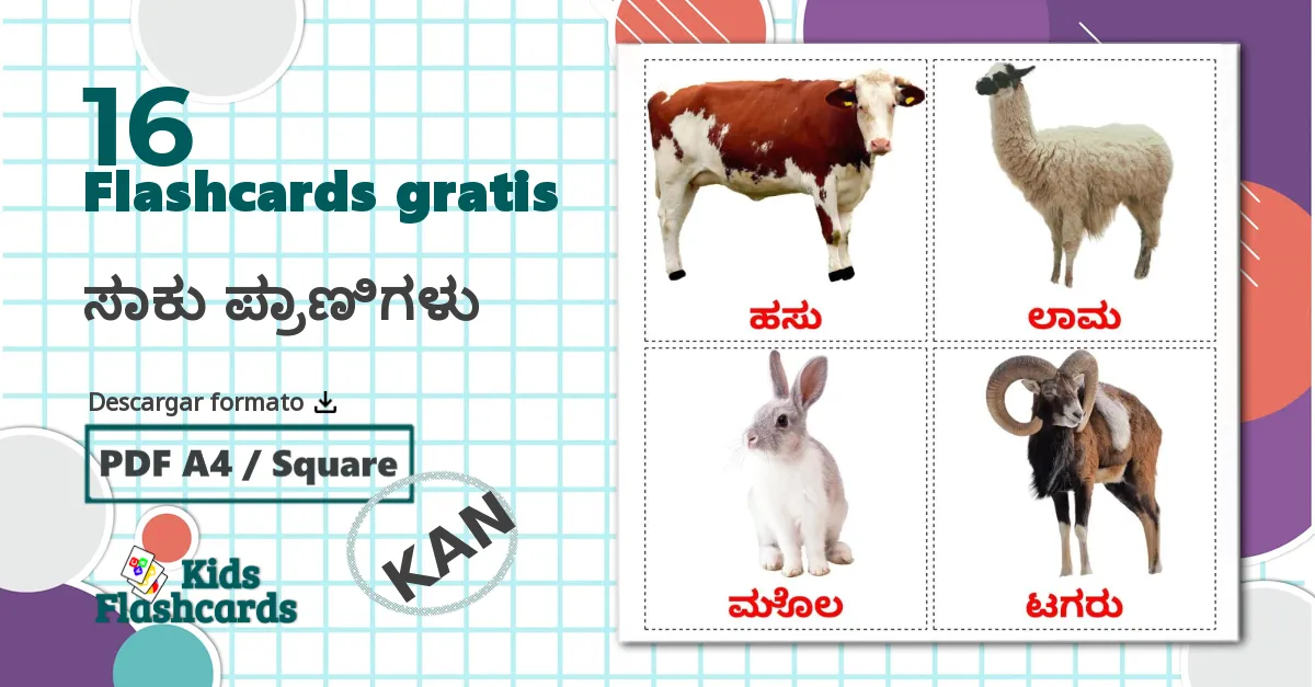 16 tarjetas didacticas de ಸಾಕು ಪ್ರಾಣಿಗಳು