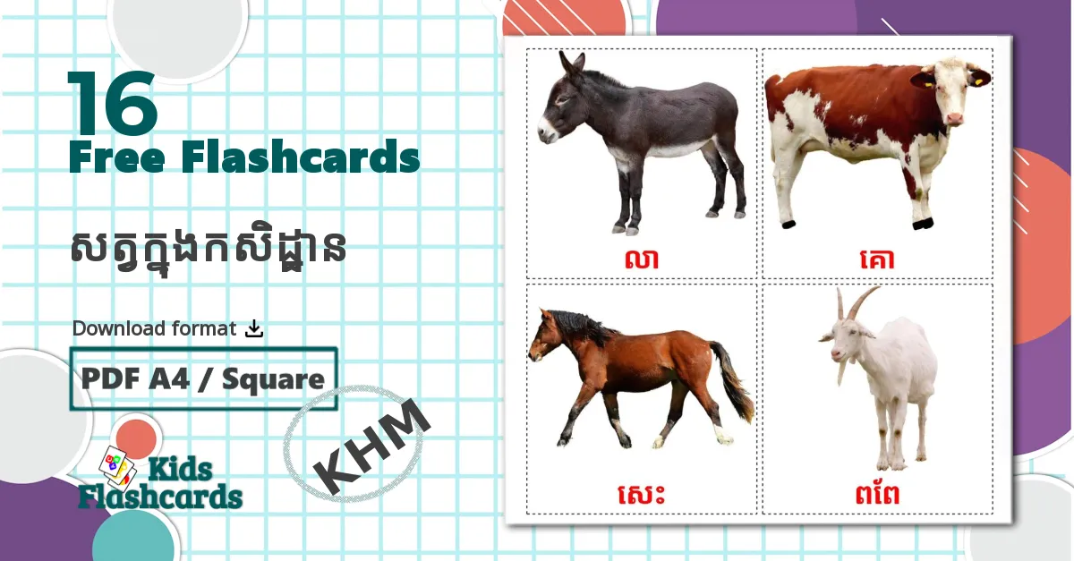 16 Farm animals flashcards