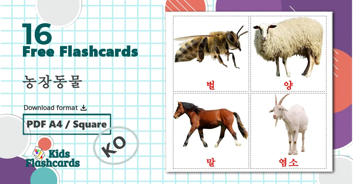 16 농장동물 flashcards