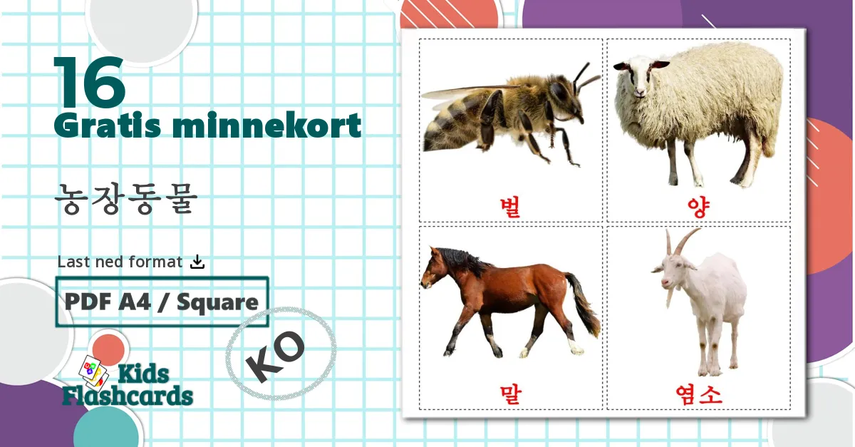 16 농장동물 bildekort