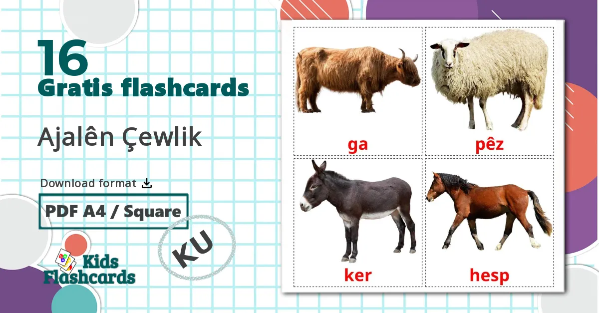 16 Ajalên Çewlik billedkort for børn