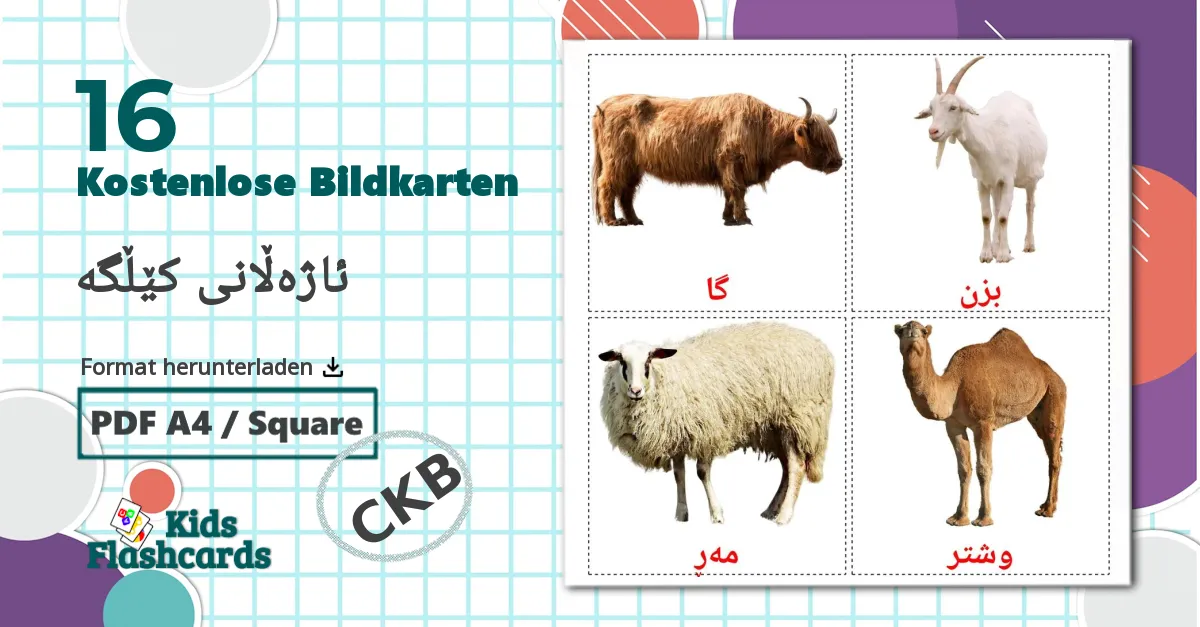 16 Bildkarten für ئاژەڵانی کێڵگە