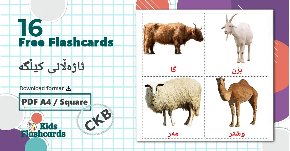 16 Flashcards de Farm animals