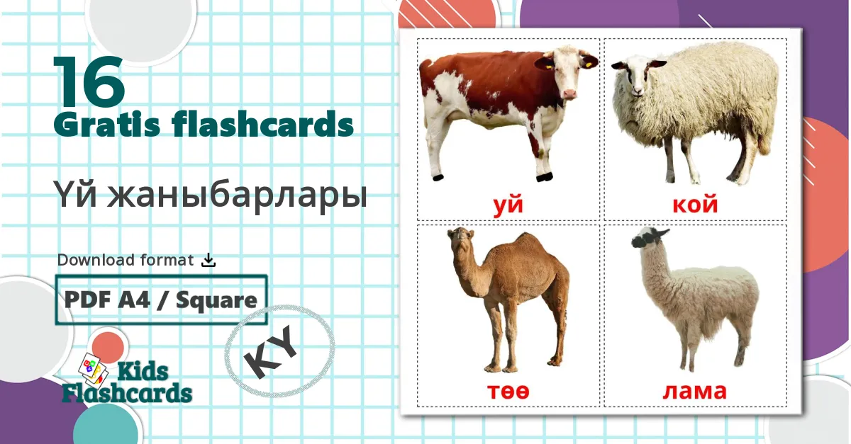 16 Үй жаныбарлары billedkort for børn
