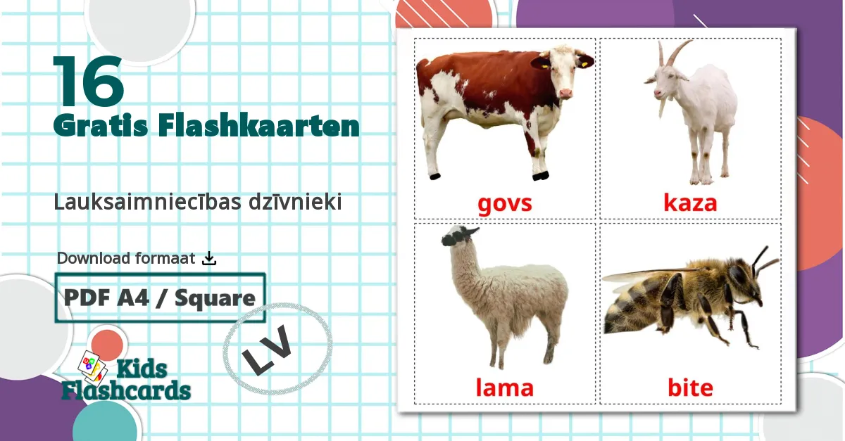 16 Lauksaimniecības dzīvnieki  flashcards