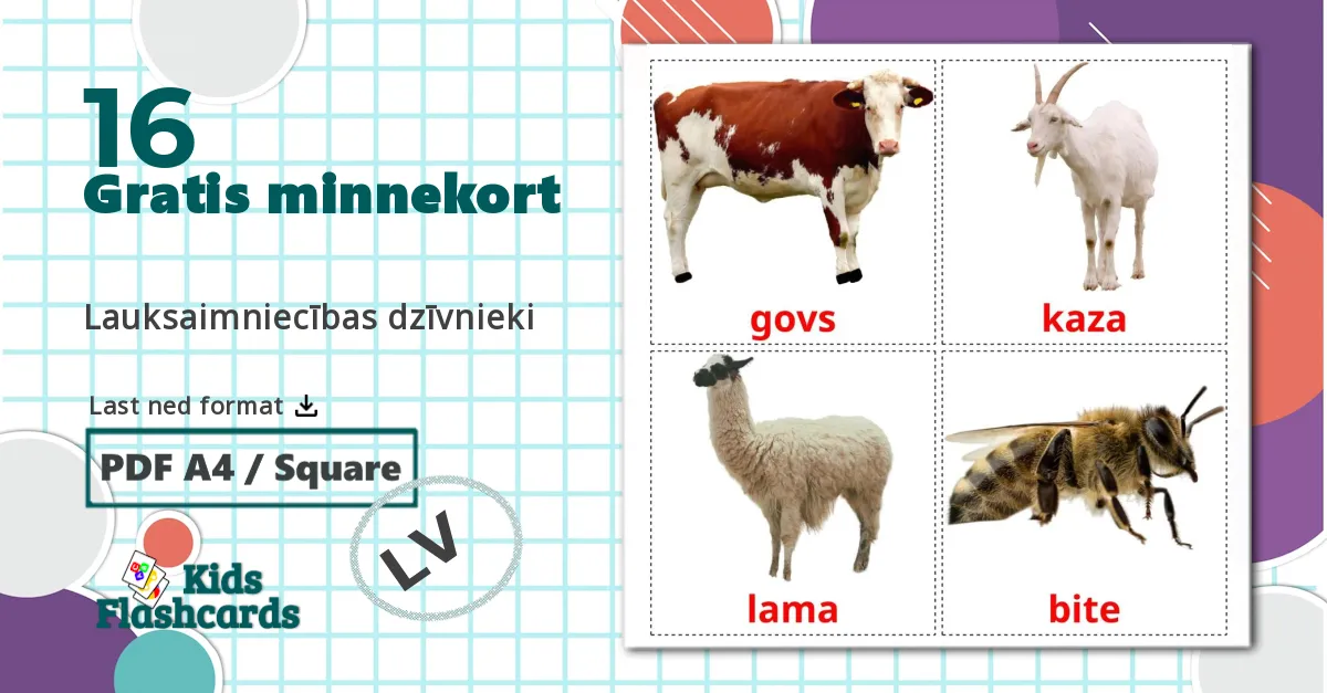 16 Lauksaimniecības dzīvnieki  bildekort