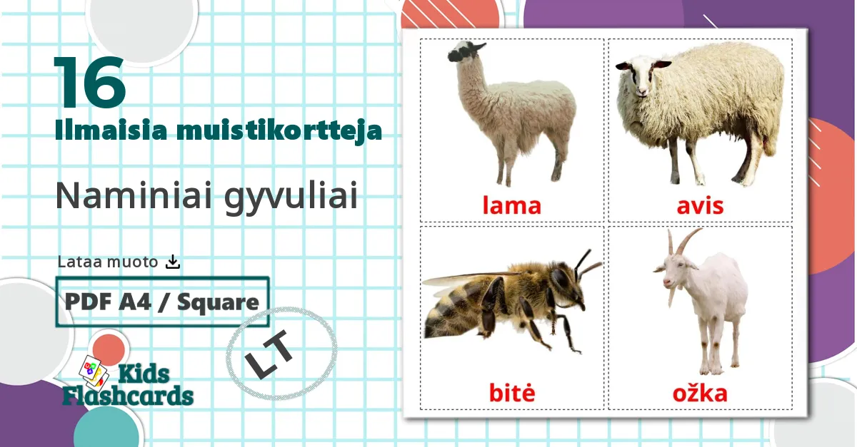 16 Naminiai gyvuliai  lasten kuvakortit