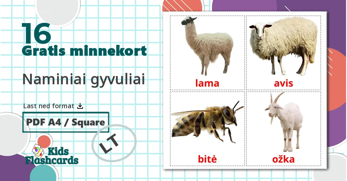 16 Naminiai gyvuliai  bildekort