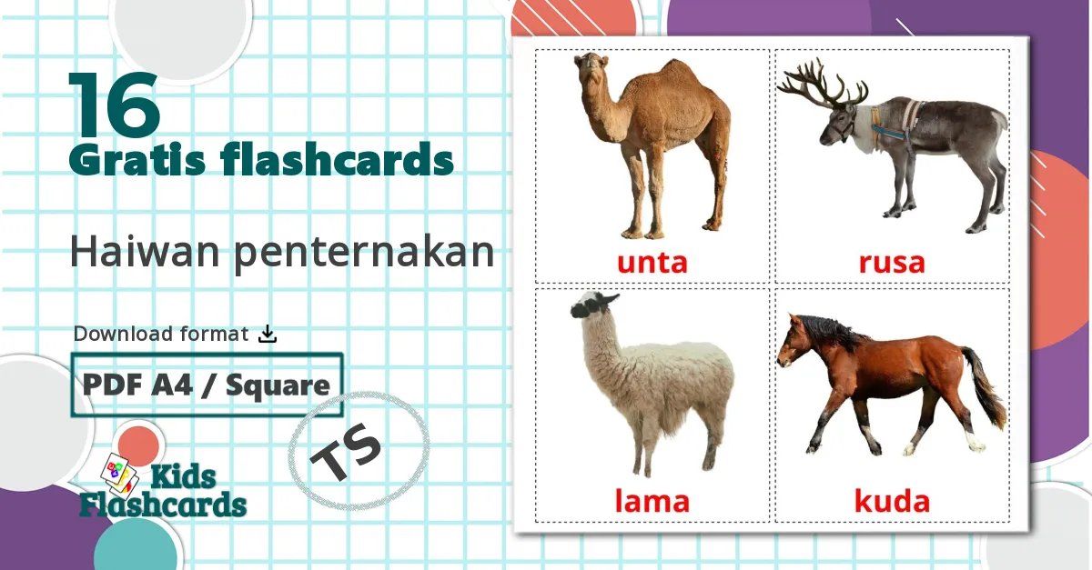 16 Haiwan penternakan billedkort for børn