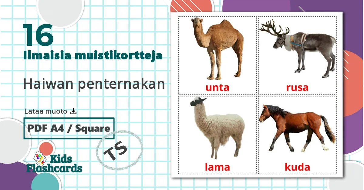 16 Haiwan penternakan lasten kuvakortit