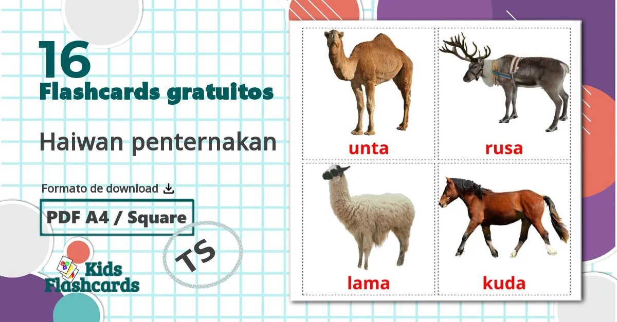 16 Flashcards de Haiwan penternakan