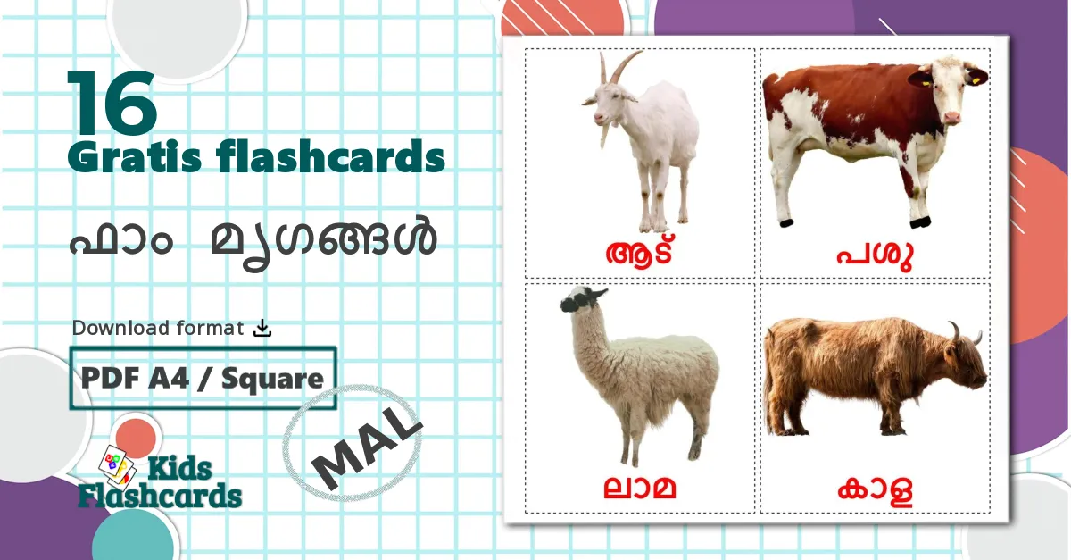 16 ഫാം മൃഗങ്ങൾ billedkort for børn