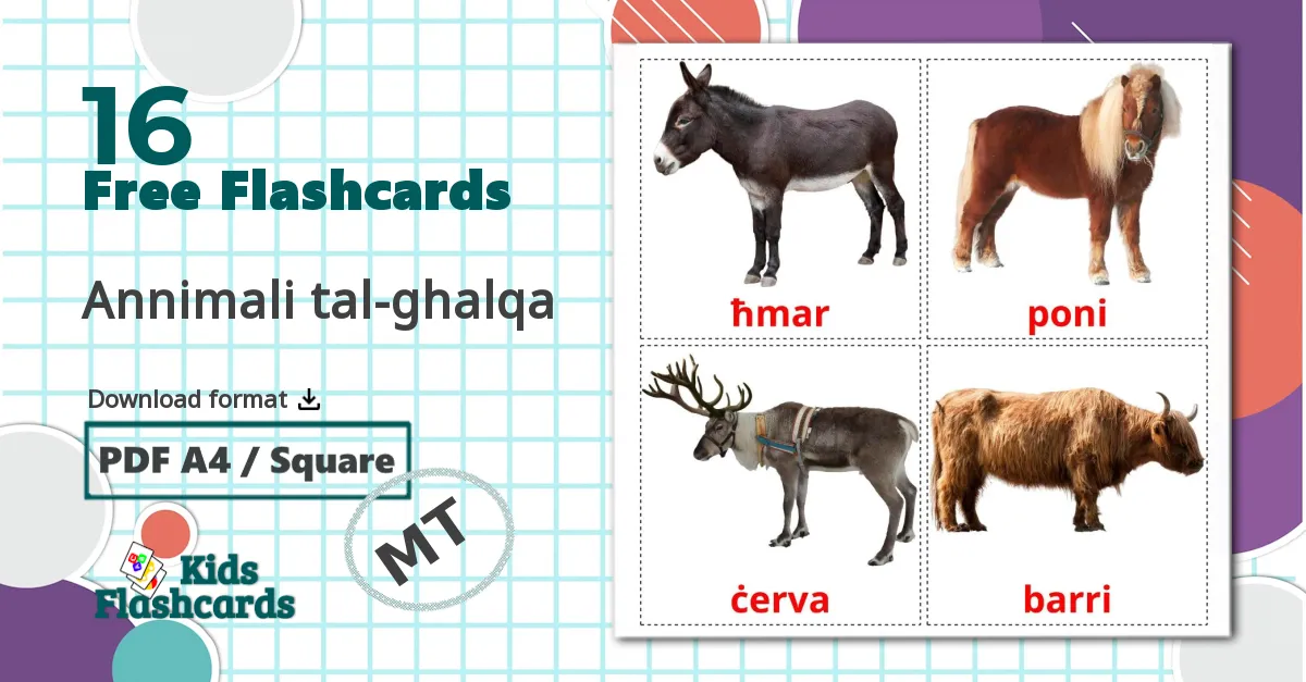 16 Annimali tal-ghalqa flashcards