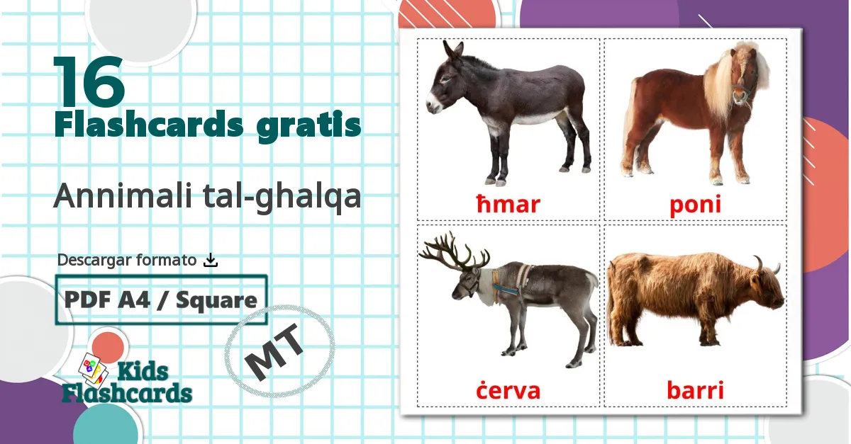 16 tarjetas didacticas de Annimali tal-ghalqa