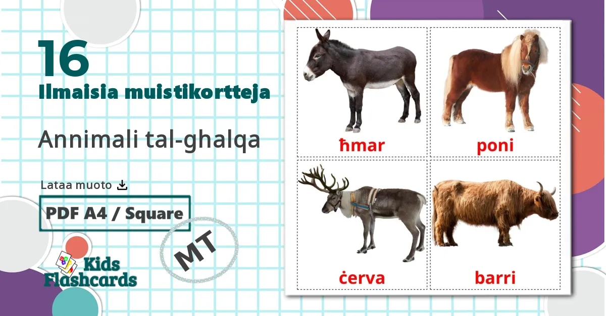 16 Annimali tal-ghalqa lasten kuvakortit