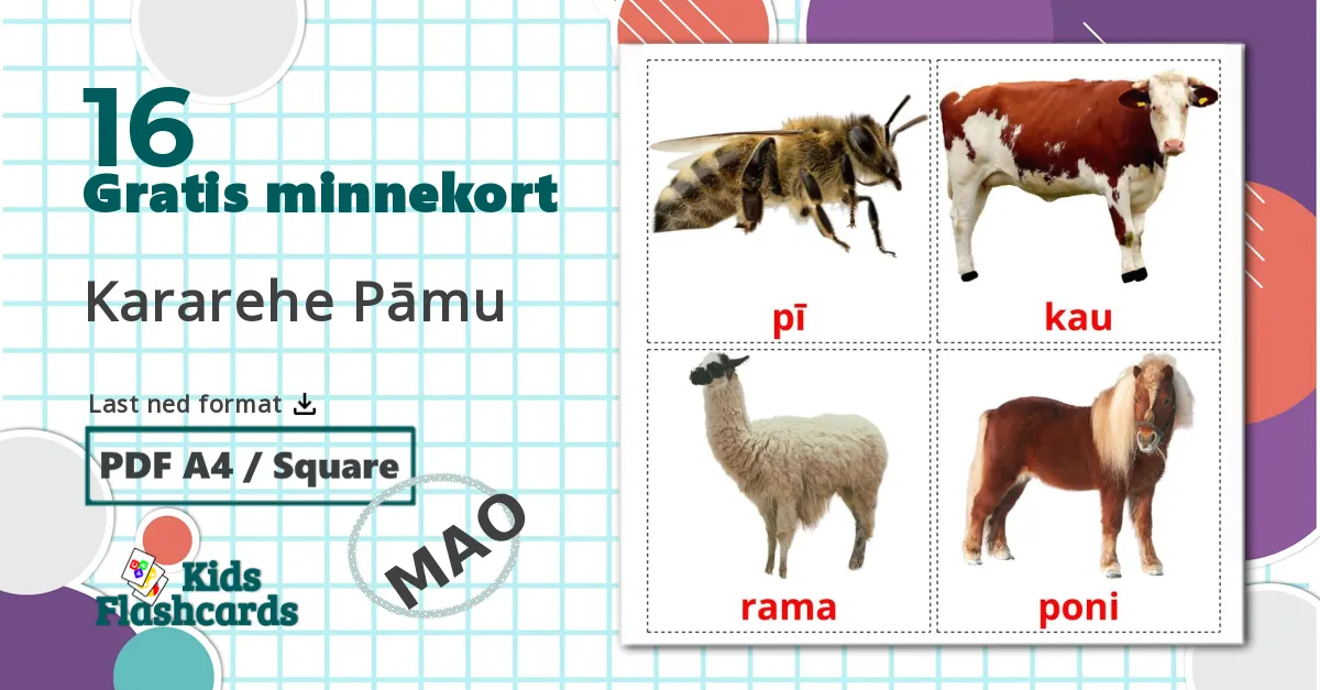 16 Kararehe Pāmu bildekort