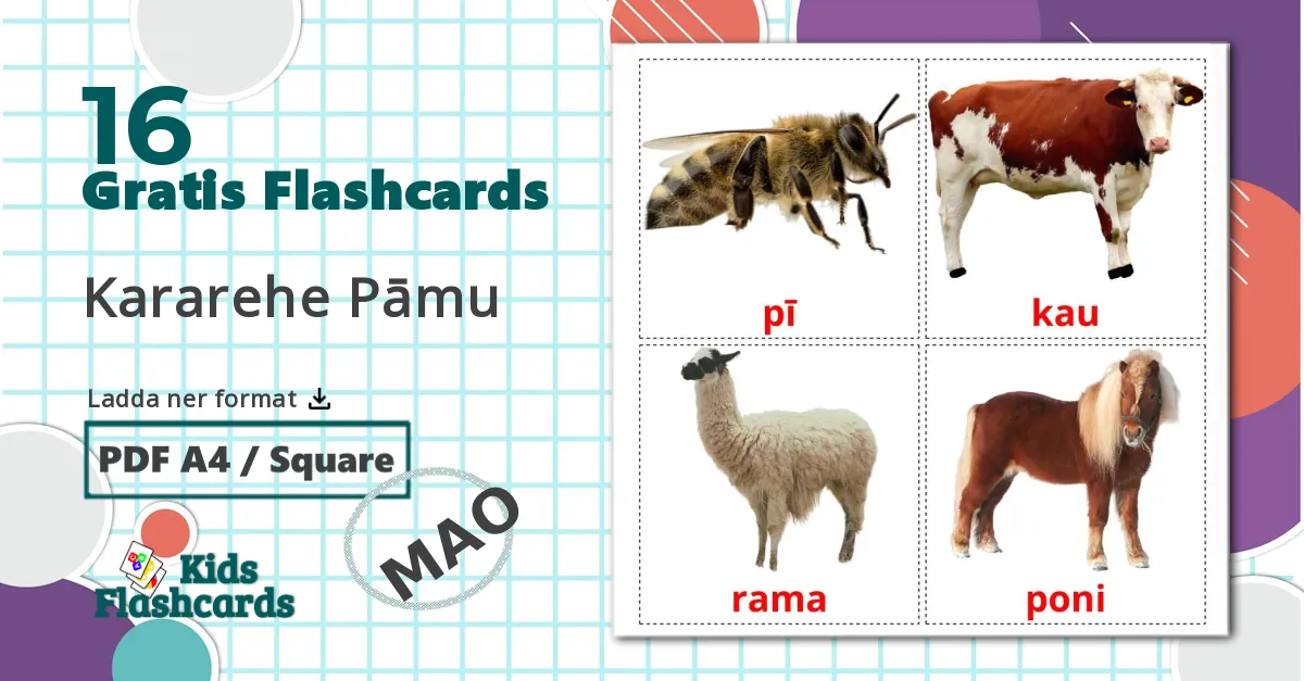 16 Kararehe Pāmu billedkort for børn