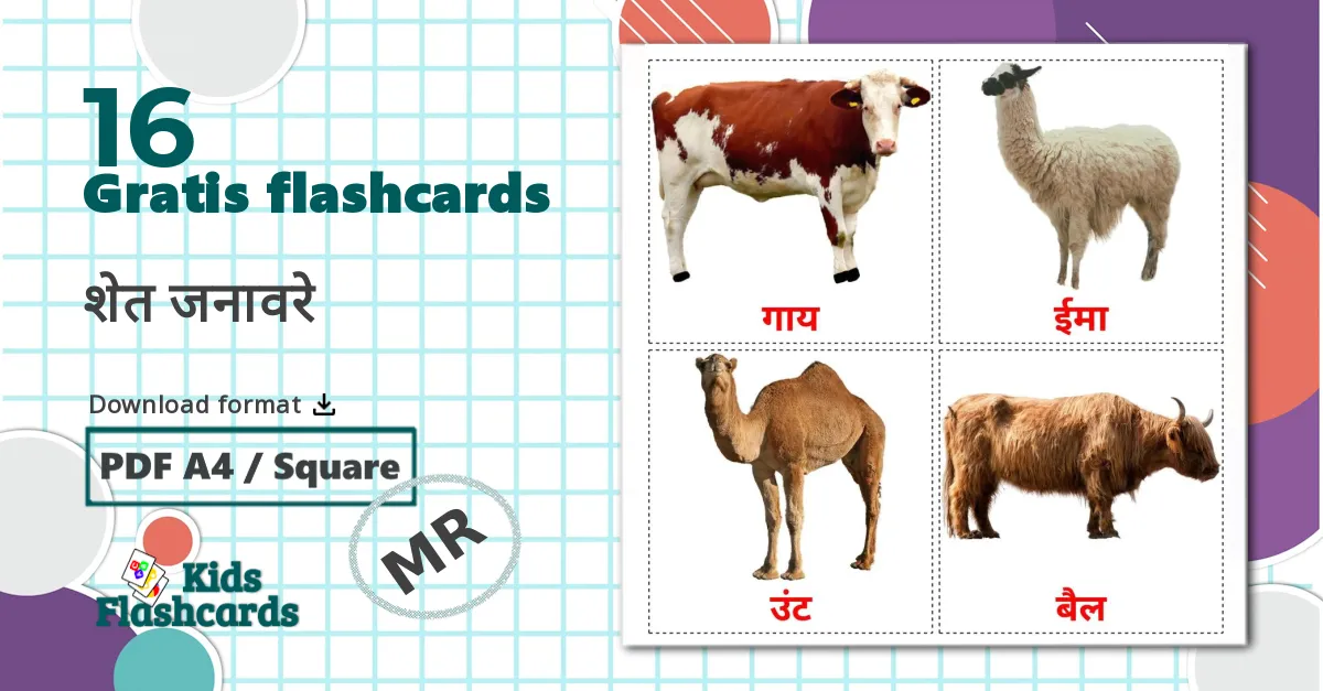 16 Flashcards de शेत जनावरे