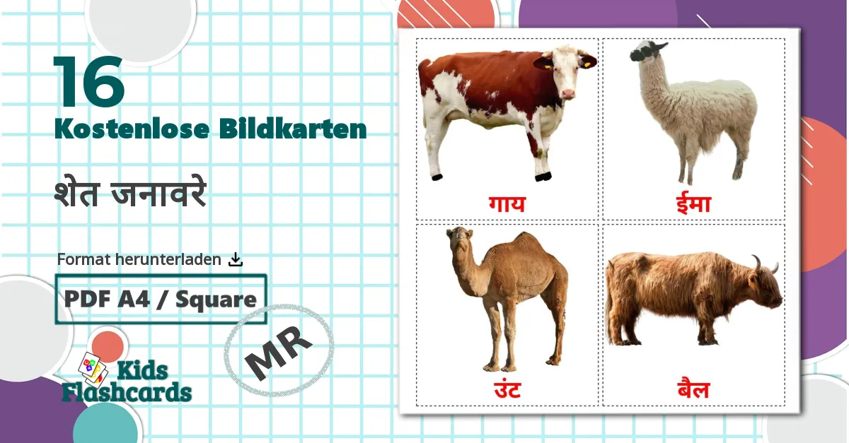 16 Bildkarten für शेत जनावरे