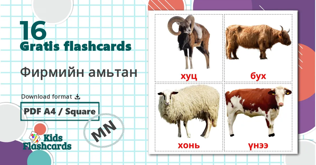16 Фирмийн амьтан billedkort for børn