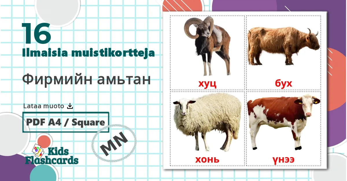 16 Фирмийн амьтан lasten kuvakortit