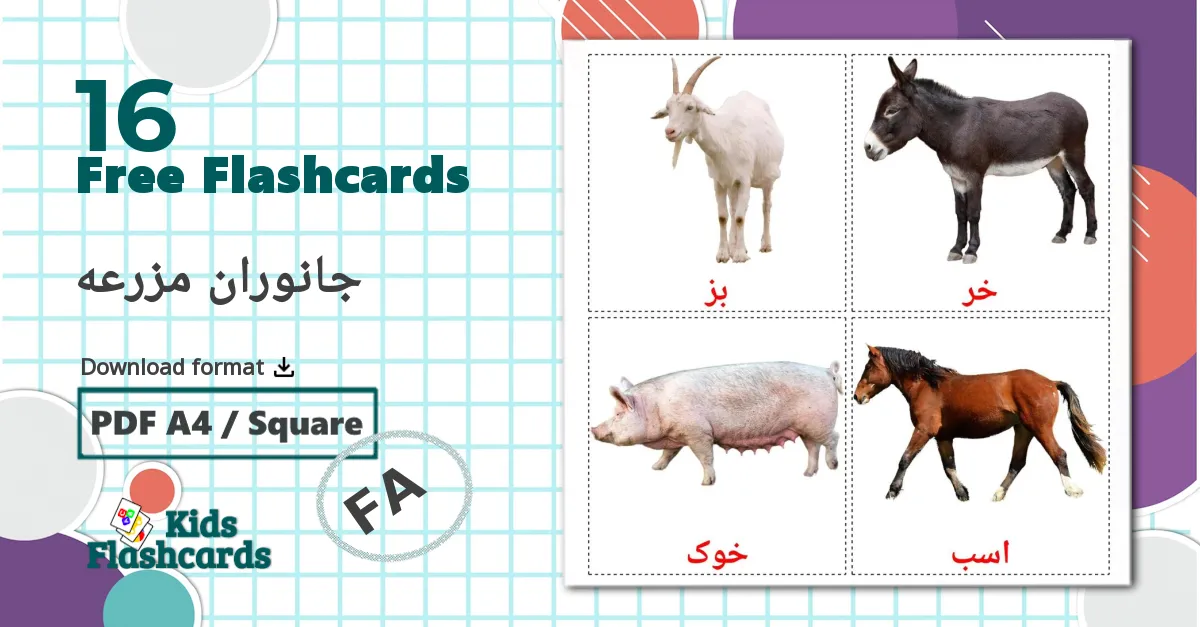 16 جانوران مزرعه flashcards