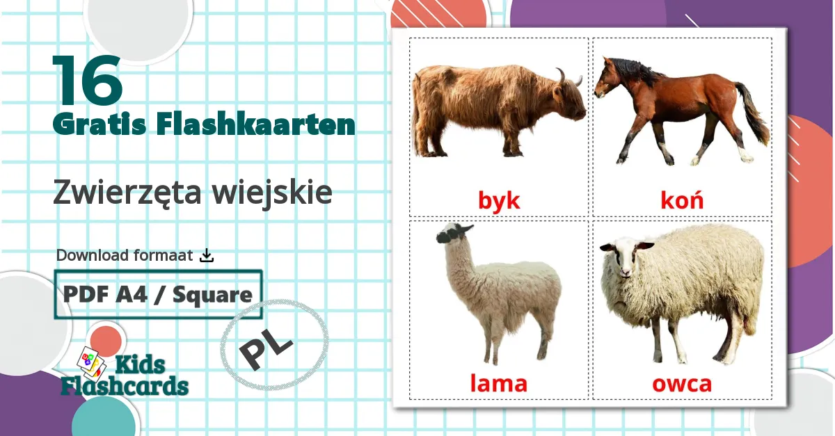 16 Zwierzęta wiejskie  flashcards