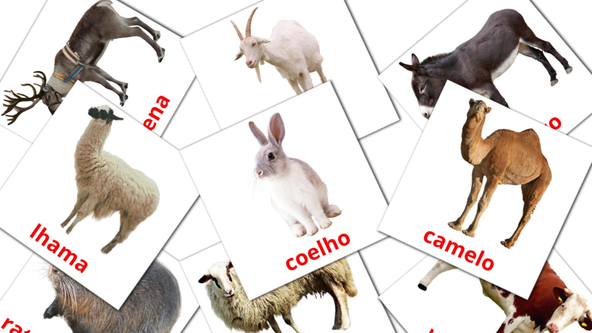 tarjetas didacticas de Animais da Fazenda