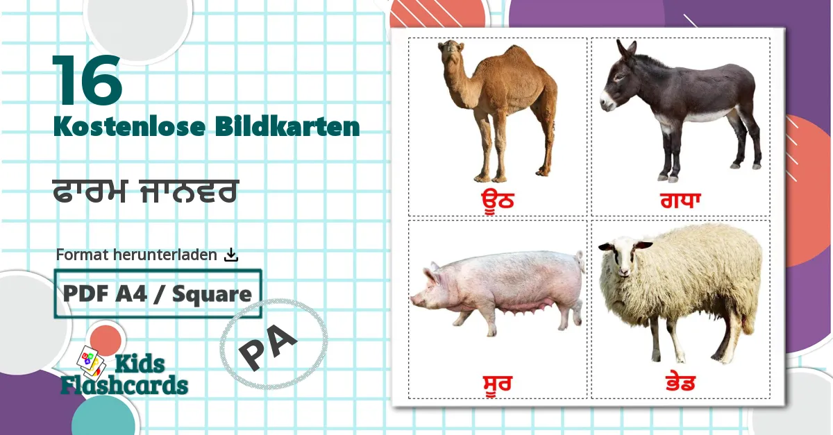 16 Bildkarten für ਫਾਰਮ ਜਾਨਵਰ