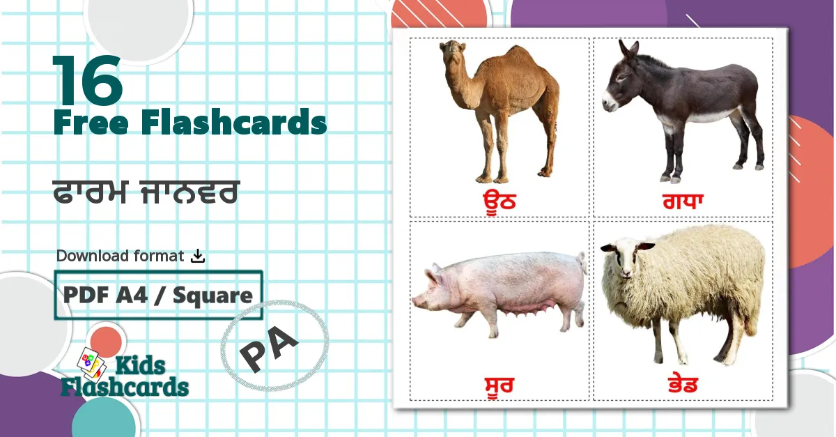 16 ਫਾਰਮ ਜਾਨਵਰ flashcards