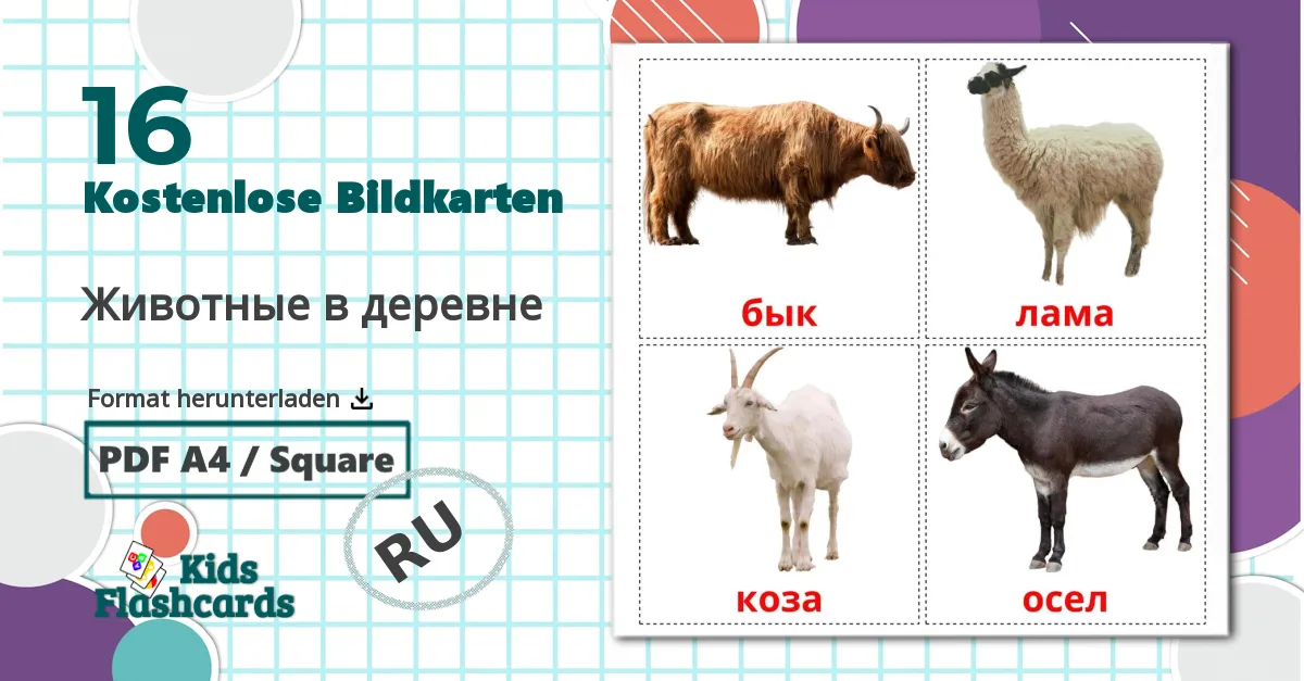 16 Bildkarten für Животные в деревне