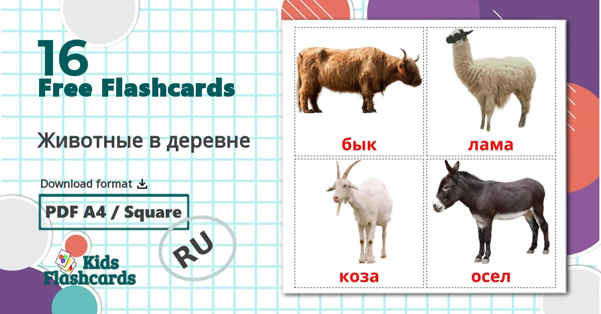 16 Животные в деревне flashcards