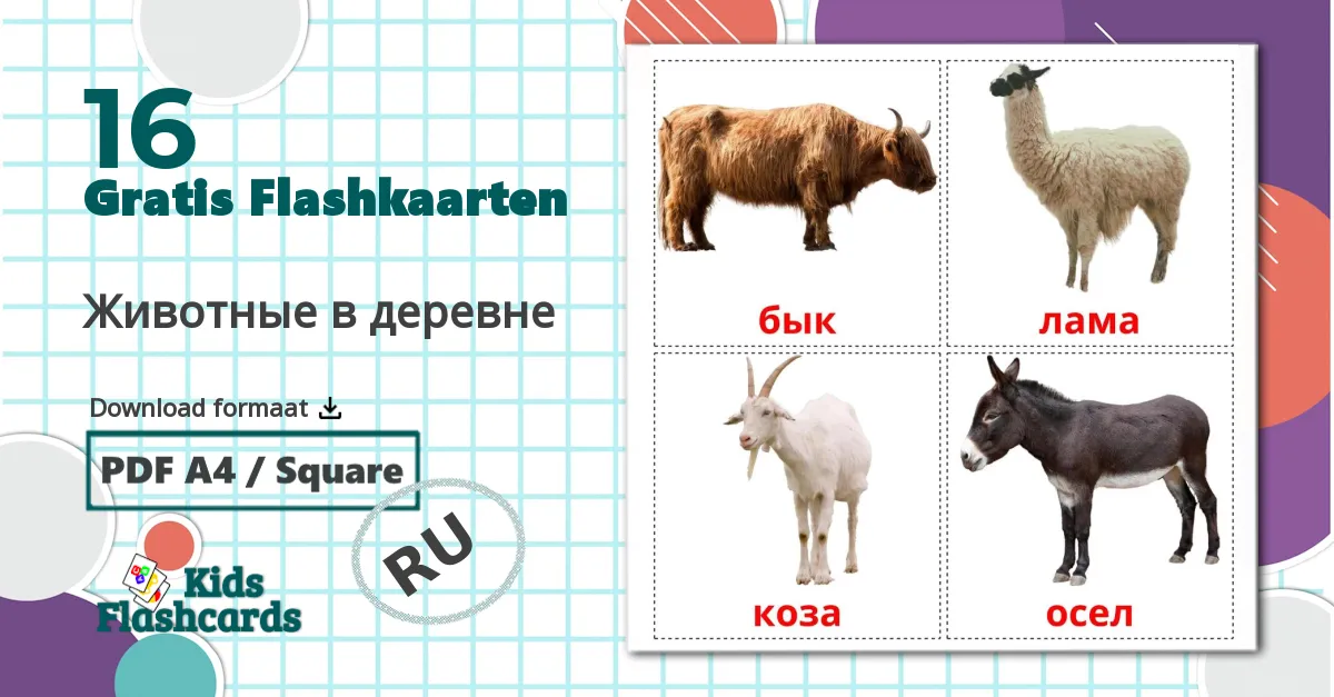 16 Животные в деревне flashcards