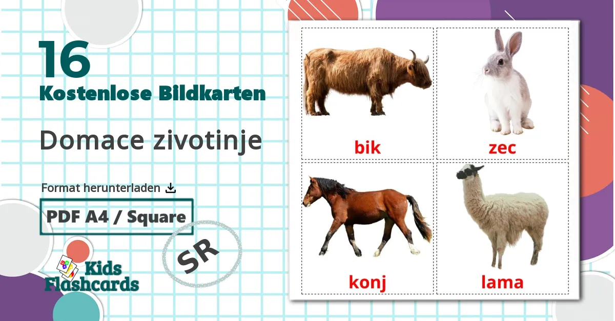 16 Bildkarten für Domace zivotinje