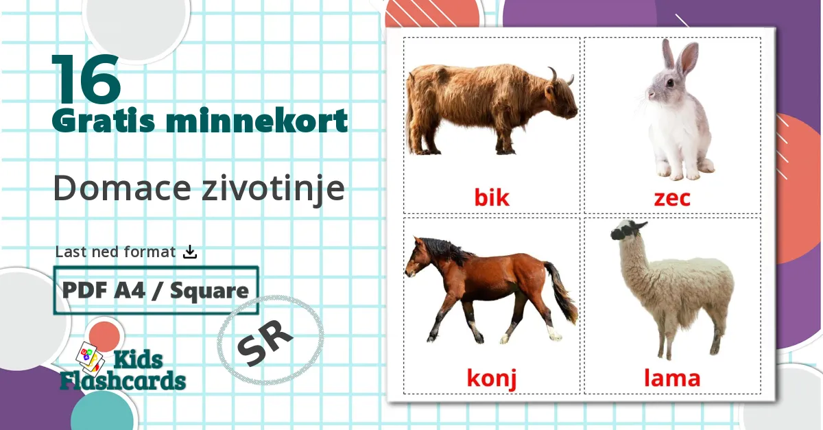 16 Domace zivotinje  bildekort