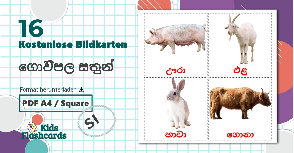 16 Bildkarten für ගොවිපල සතුන්