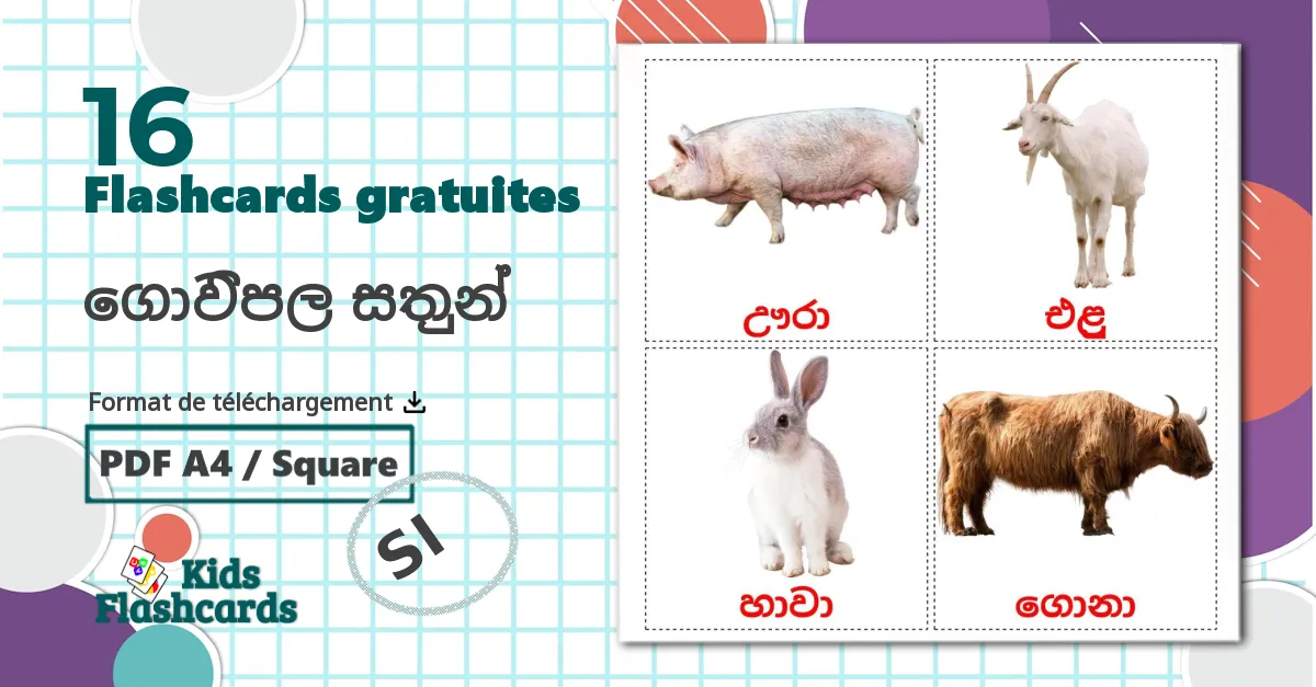 16 Imagiers ගොවිපල සතුන්