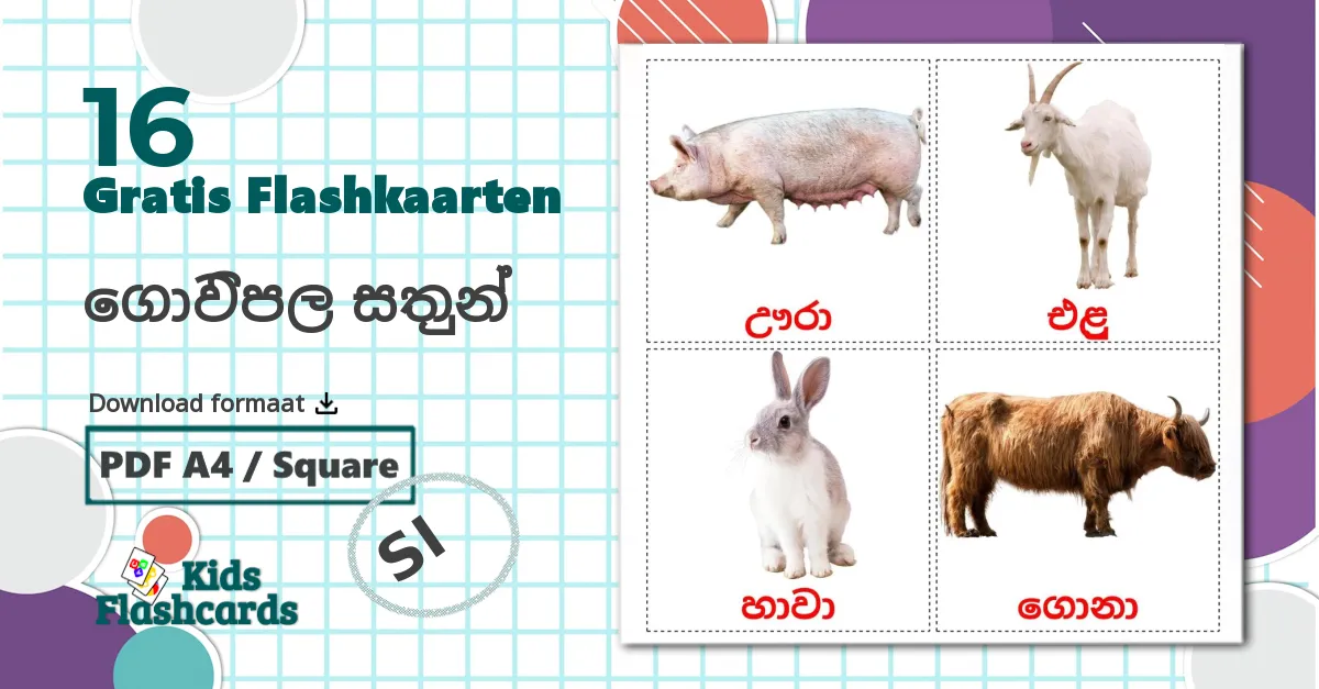 16 ගොවිපල සතුන් flashcards