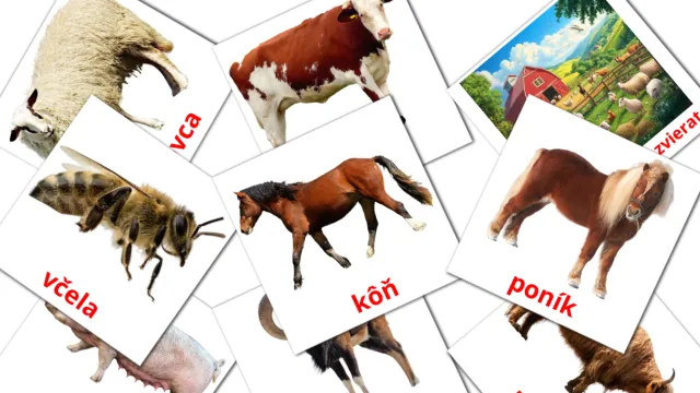 22 FREE Forest animals Flashcards | PDF | Slovak Words