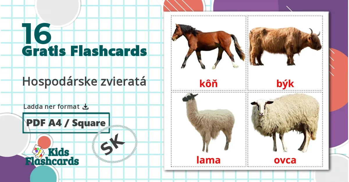 16 Hospodárske zvieratá bildkort för barn