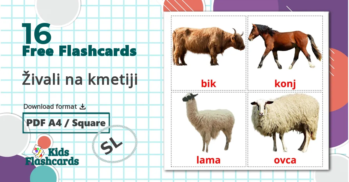 16 Živali na kmetiji flashcards