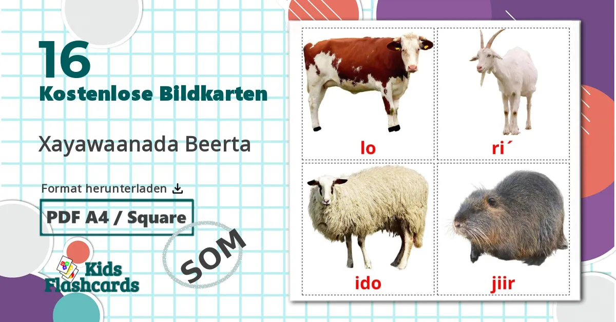 16 Bildkarten für Nutztiere