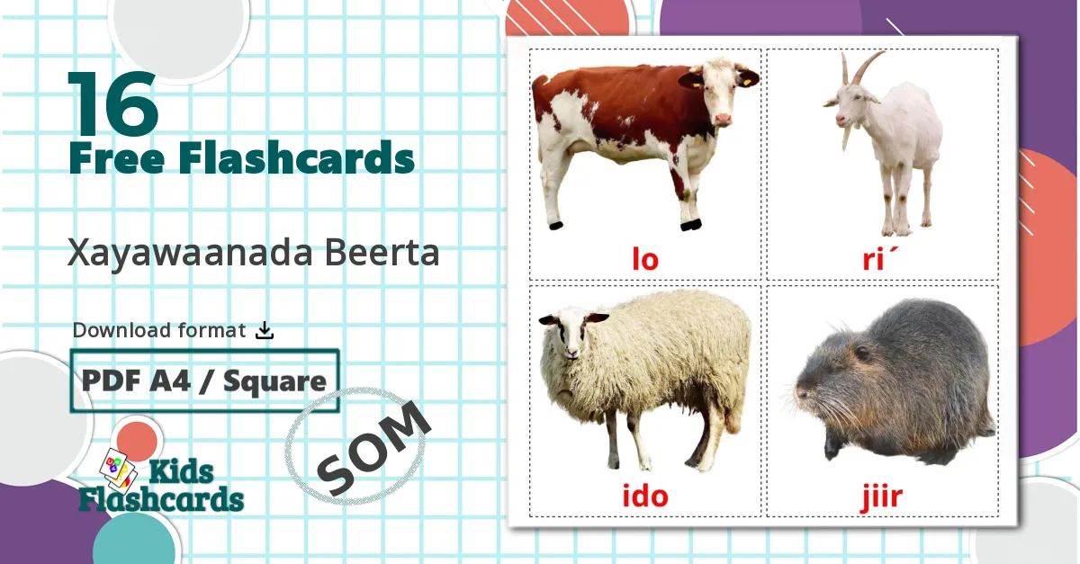 16 Farm animals flashcards