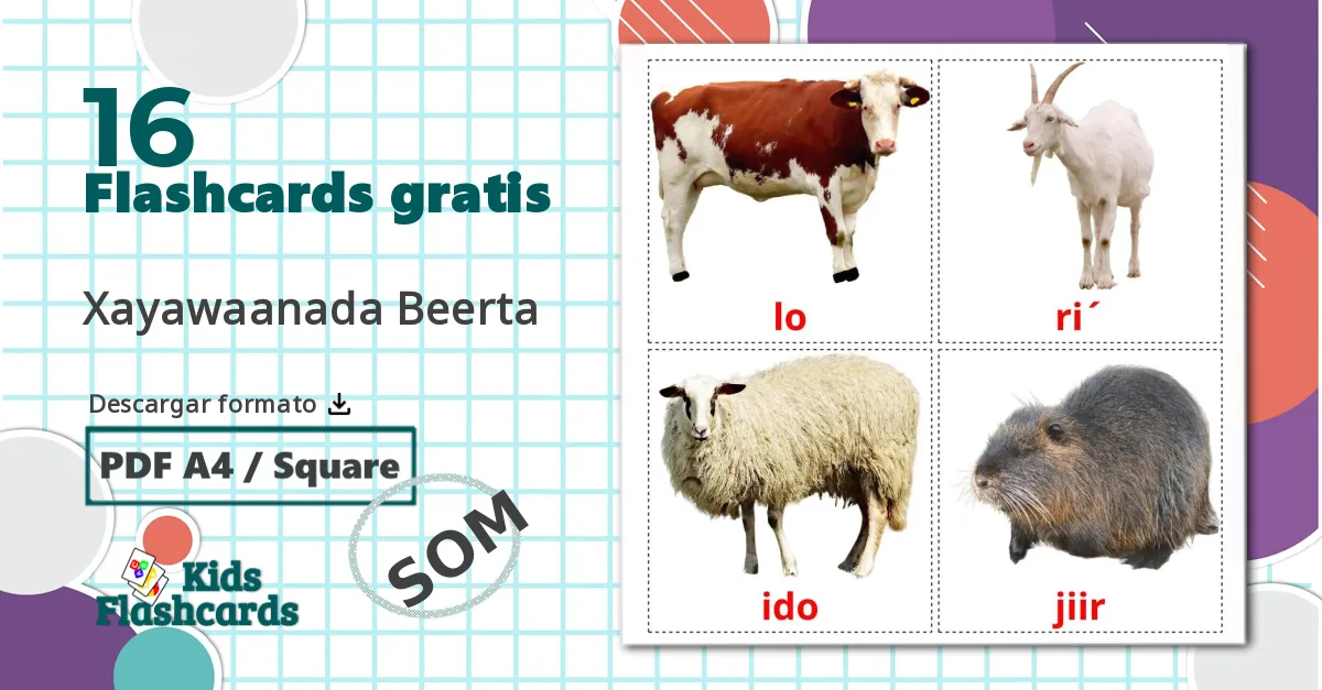 16 tarjetas didacticas de Animales en la Granja
